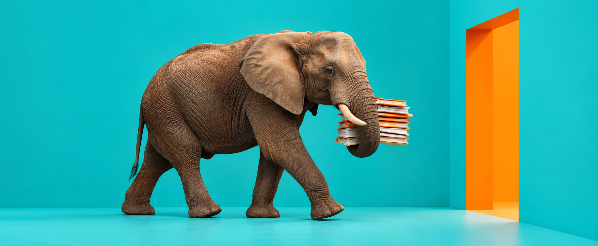 Elephant carrying organisational knowledge representing institutional memory, information succession and AI transformation